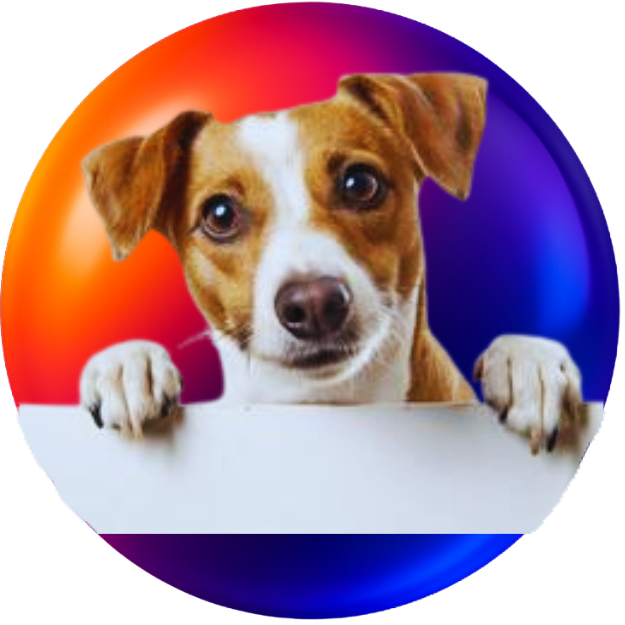 PET
