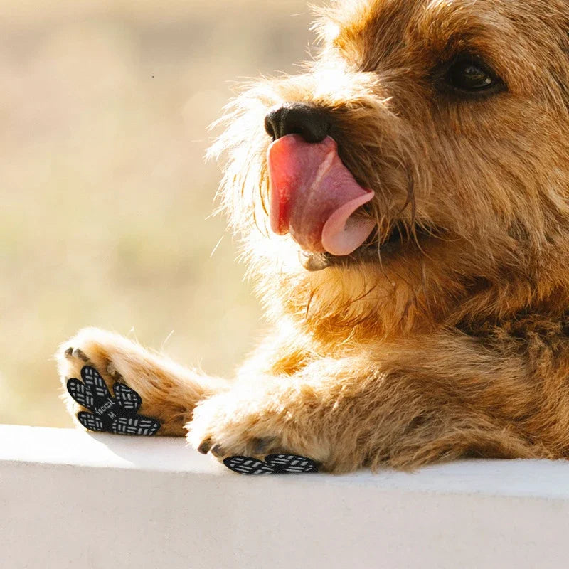 Protetores de pata impermeáveis para cães, almofadas antiderrapantes, sapatos autoadesivos, meias de botas, remendo de pé de substituição, mantém cães de
